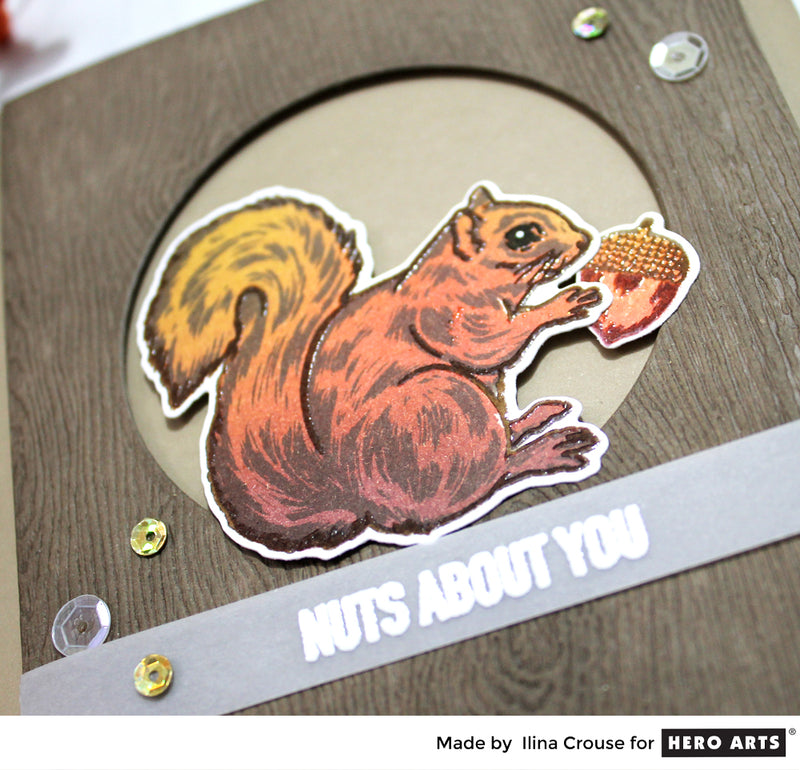 MISTI and Hero Arts Color Layering Squirrel - the perfect combination