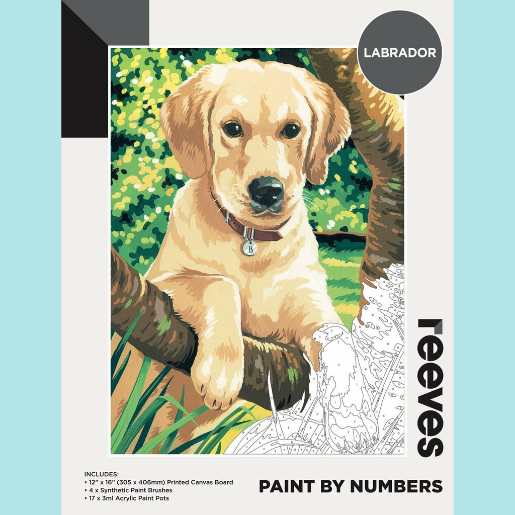 Reeves Large Painting By Numbers - Labrador