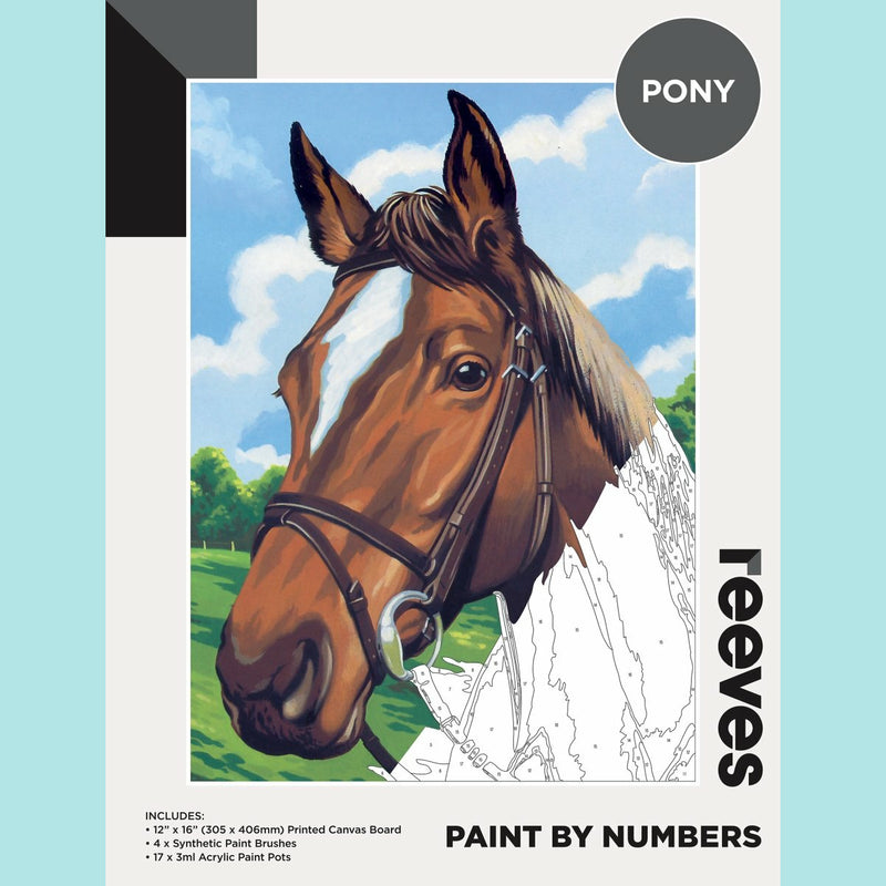 Reeves Large Painting By Numbers - Pony