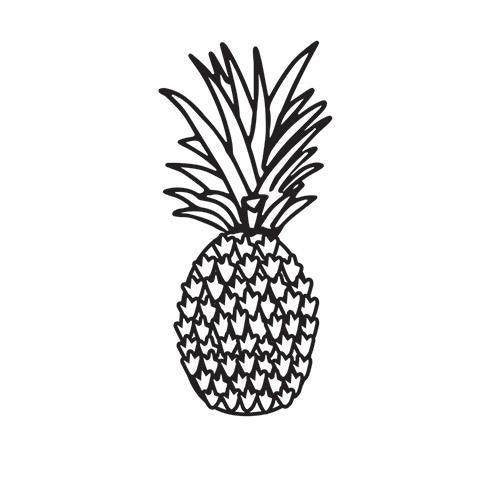 Darice® Embossing Folder - Pineapple