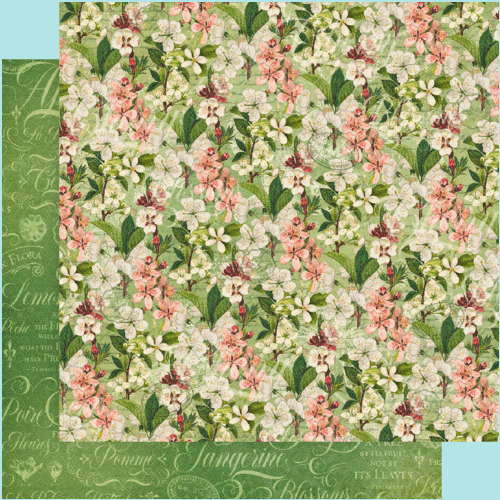 Tan Graphic 45 - Fruit & Flora 12"x 12" Single Sheets