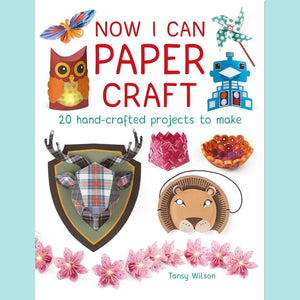 Now I Can Paper Craft: 20 Hand-Crafted Projects to Make