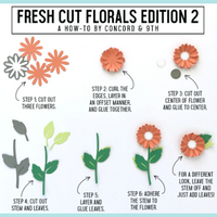 White Smoke Concord & 9TH - Fresh Cut Florals Edition 2