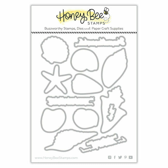 Honey Bee - Seashells - Honey Cuts