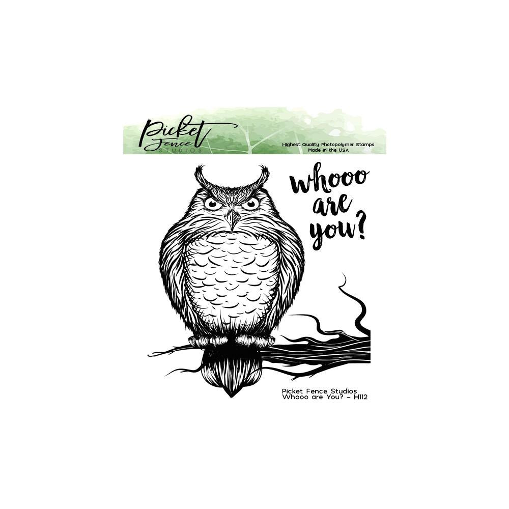 Picket Fence Studios - Whooo are You? Clear Stamp