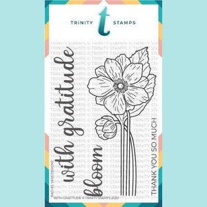 Trinity Stamps 4x6 With Gratitude Stamp Set