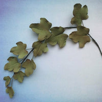 FMM Sugarcraft - Ivy Leaf Cutter Set of 3